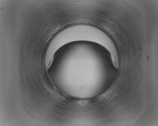 X0000061720168200512231418