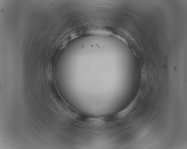 X0000061720170200512231418