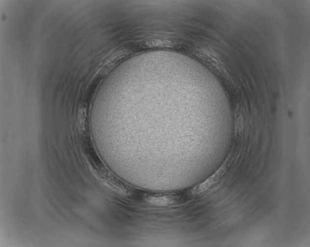 X0000061720171200512231418