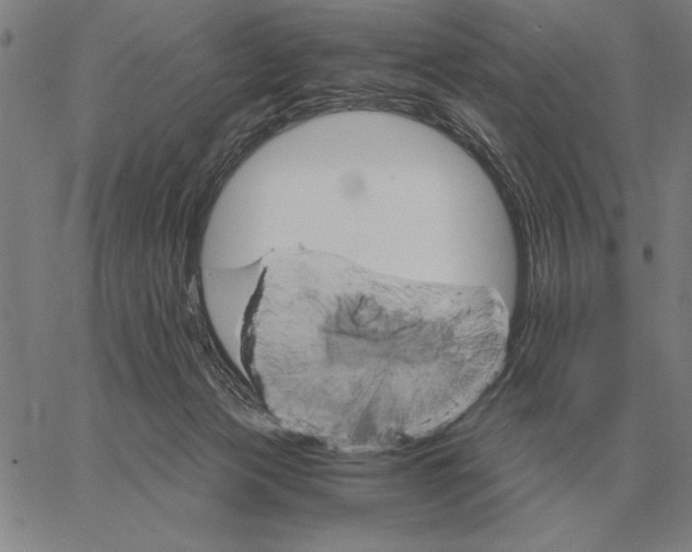 X0000061720173200512231418