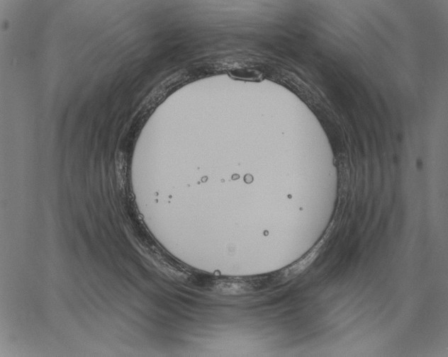 X0000061720174200512231418