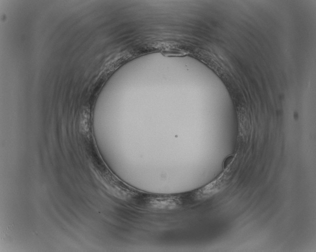 X0000061720175200512231418