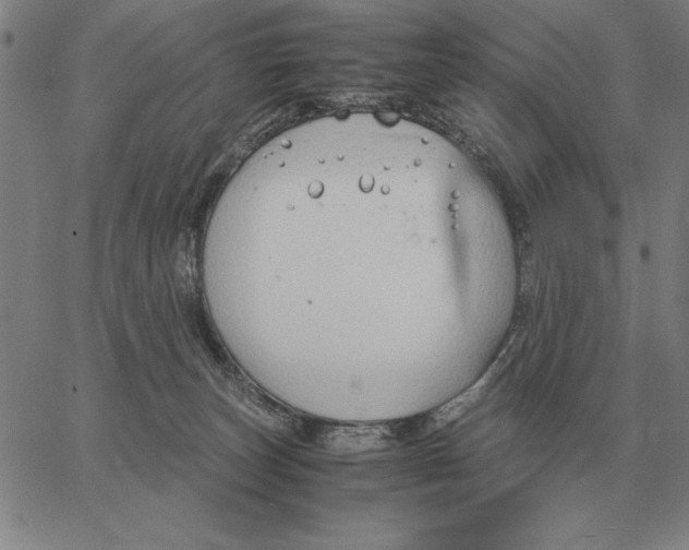 X0000061720179200512231418