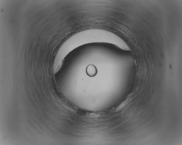 X0000061720180200512231418