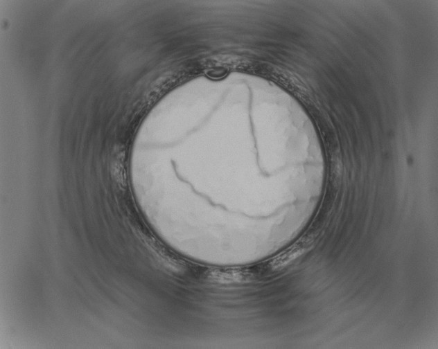 X0000061720181200512231418