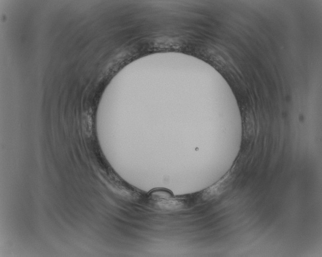 X0000061720183200512231418