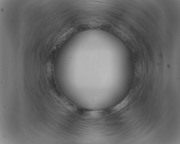 X0000061720184200512231418