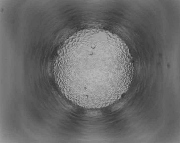 X0000061720185200512231418