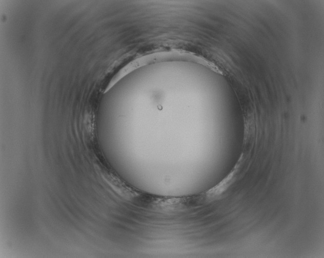 X0000061720186200512231418