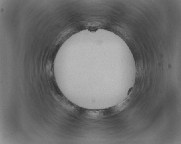 X0000061720187200512231418