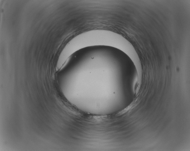 X0000061720188200512231418