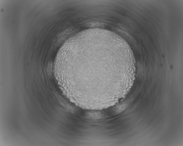 X0000061720189200512231418