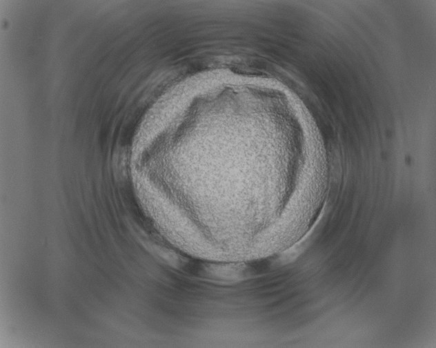 X0000061720191200512231418