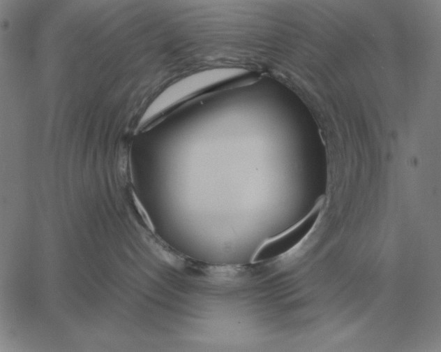 X0000061720192200512231418