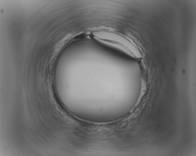 X0000061720193200512231417