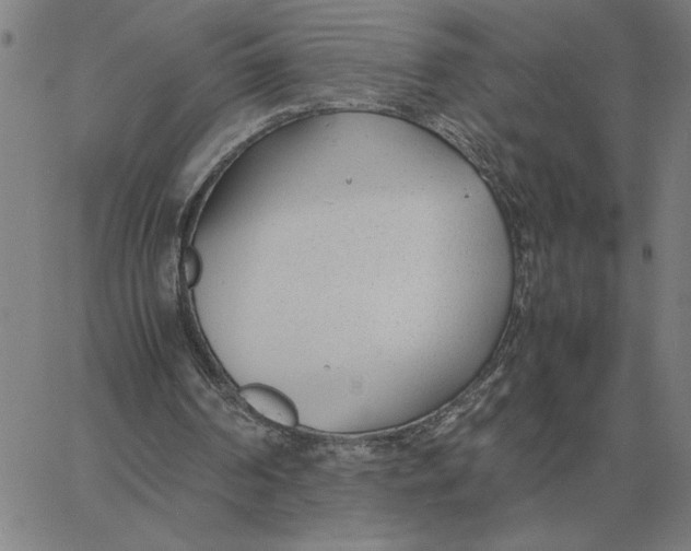 X0000061720194200512231417