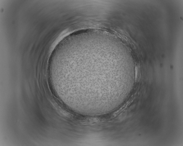 X0000061720195200512231417