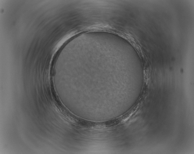 X0000061720196200512231417