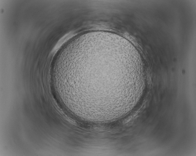 X0000061720199200512231417