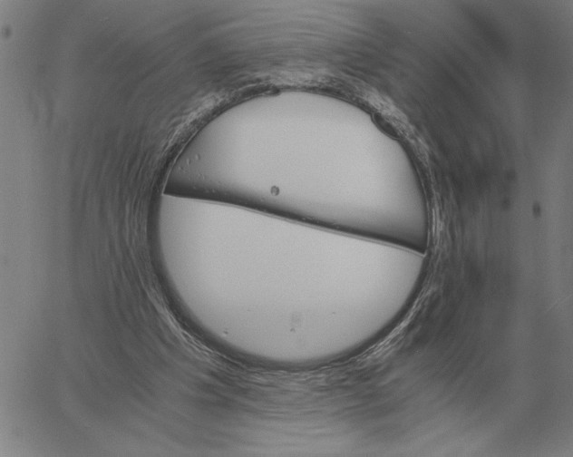 X0000061720201200512231417