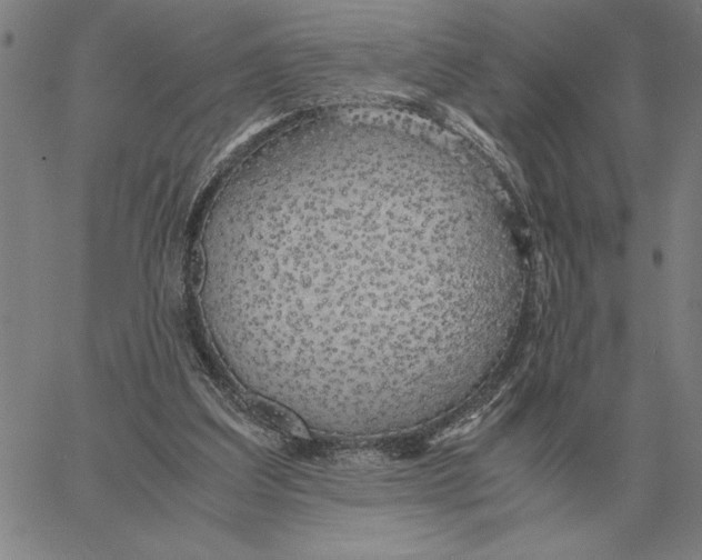 X0000061720203200512231417