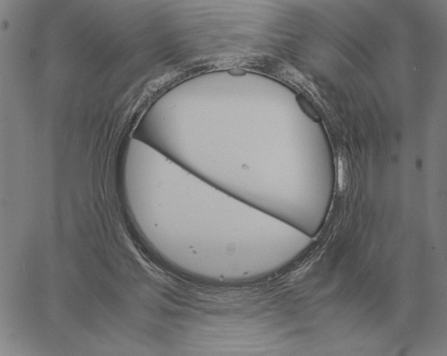 X0000061720205200512231417