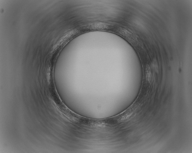 X0000061720206200512231417