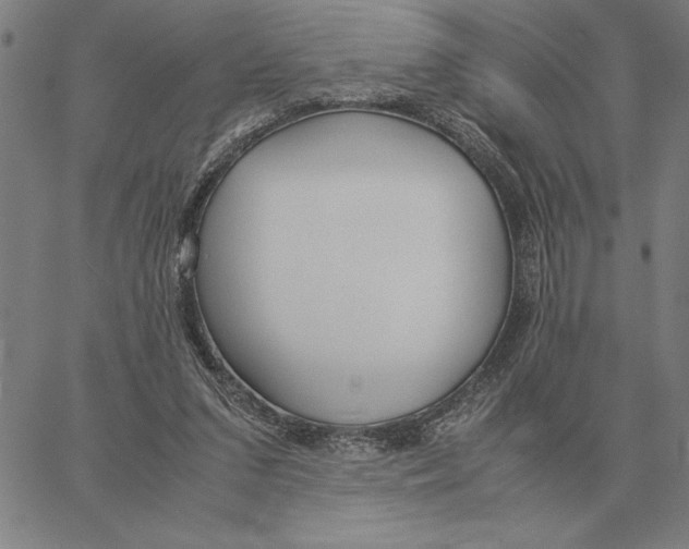 X0000061720207200512231417