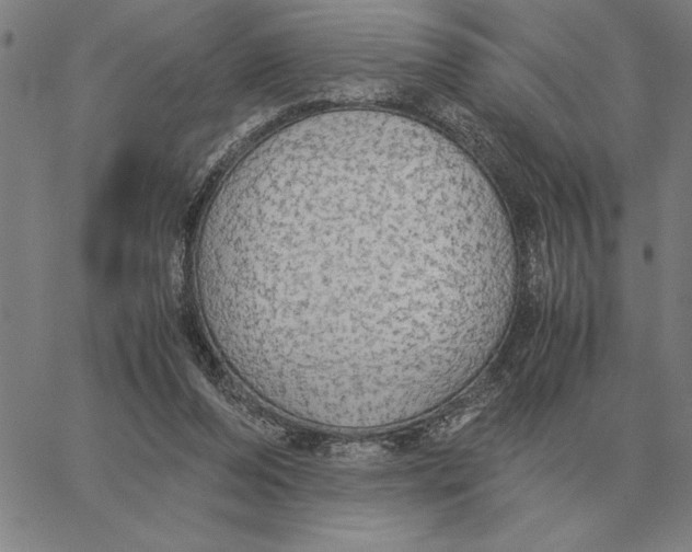 X0000061720208200512231417