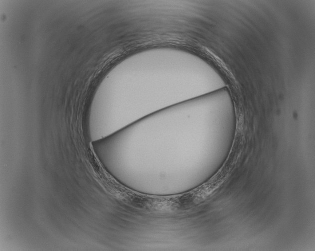 X0000061720209200512231417