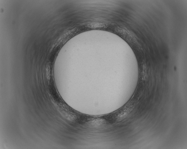 X0000061720210200512231417