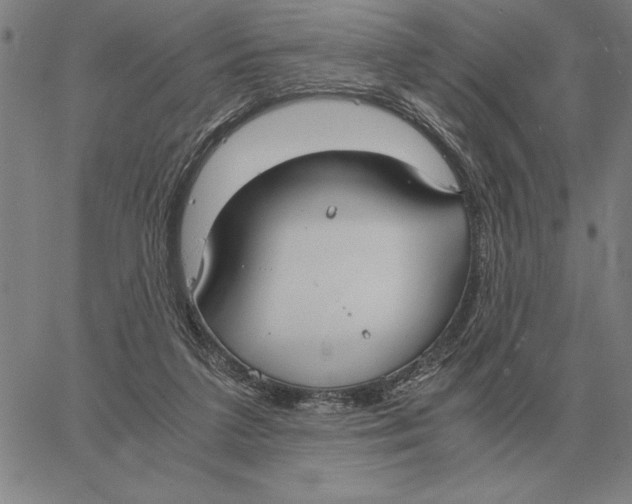 X0000061720211200512231417