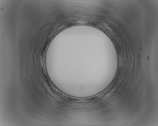 X0000061720213200512231417