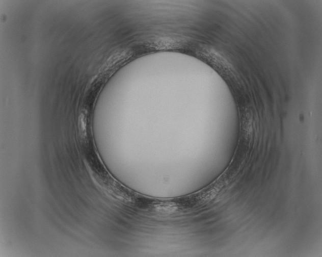 X0000061720214200512231417