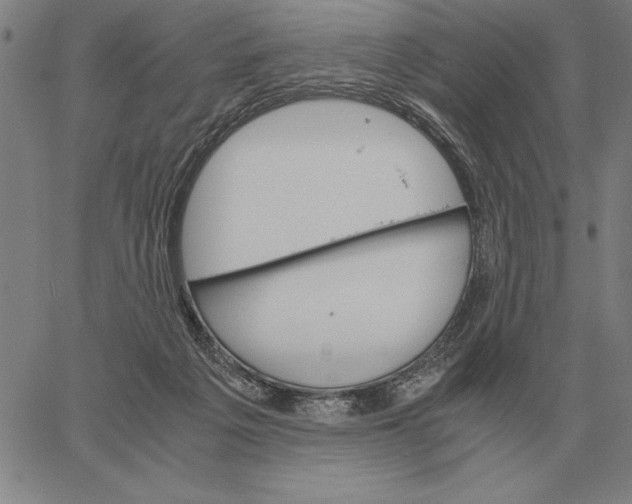 X0000061720217200512231417