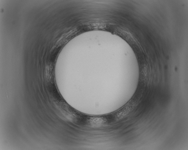 X0000061720218200512231417