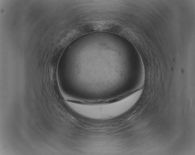 X0000061720219200512231417