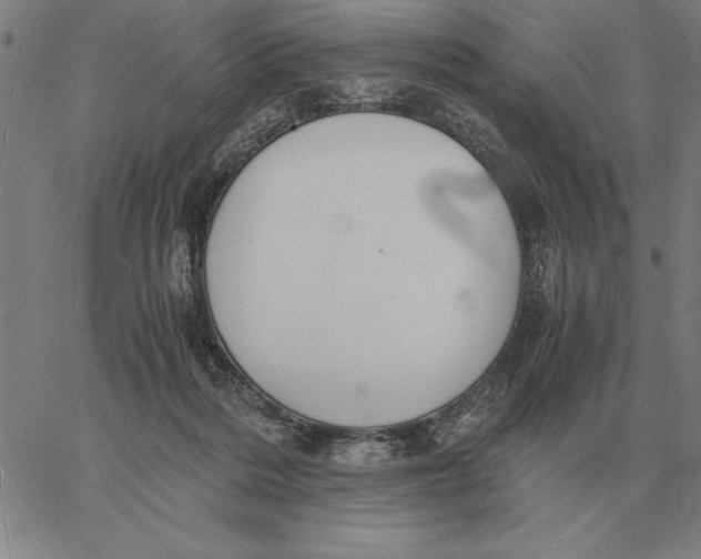 X0000061720220200512231417