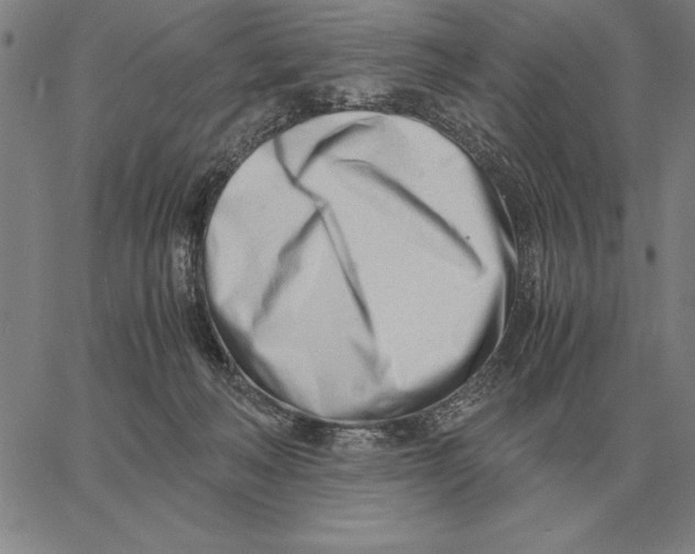 X0000061720222200512231417