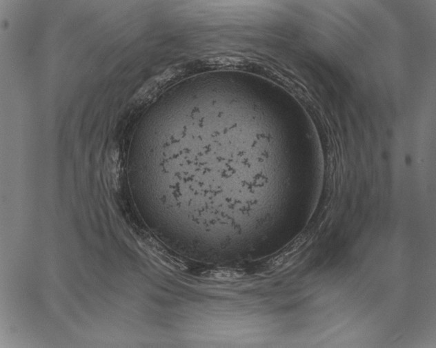 X0000061720223200512231417