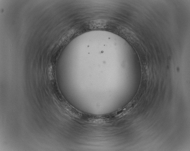 X0000061720224200512231417