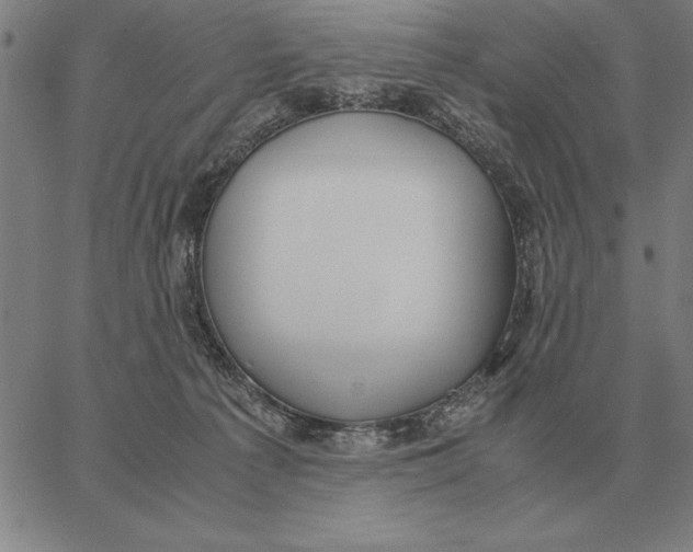 X0000061720225200512231417