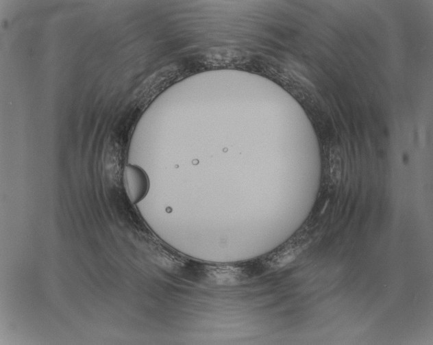 X0000061720226200512231417