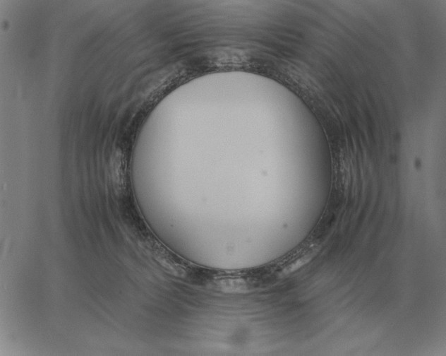 X0000061720228200512231417