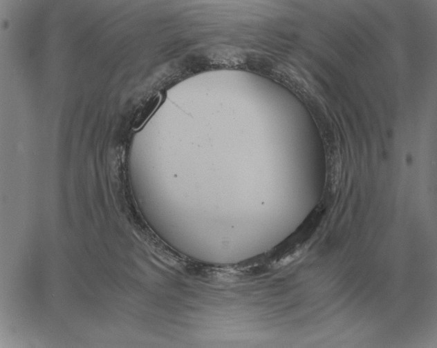 X0000061720229200512231417