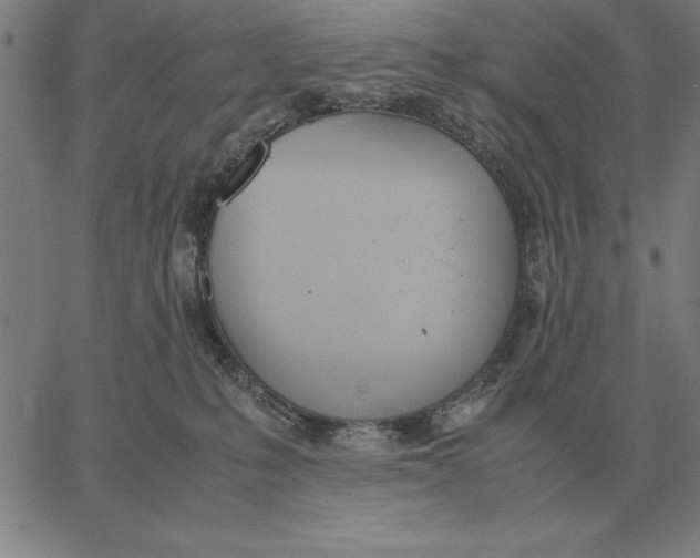 X0000061720231200512231417