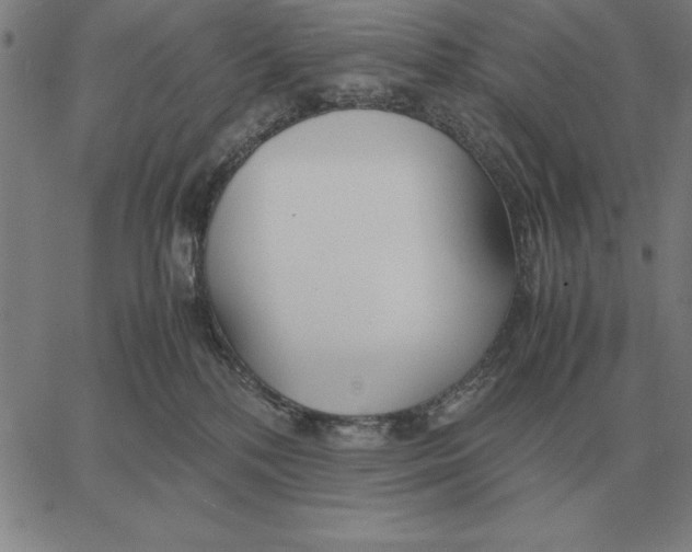 X0000061720232200512231416