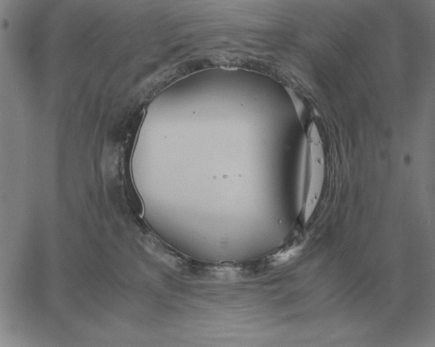 X0000061720233200512231416