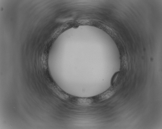 X0000061720234200512231416