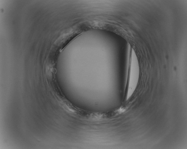 X0000061720235200512231416